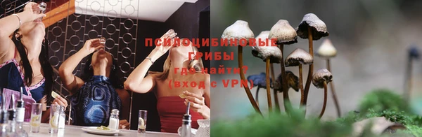 прущая мука Алзамай