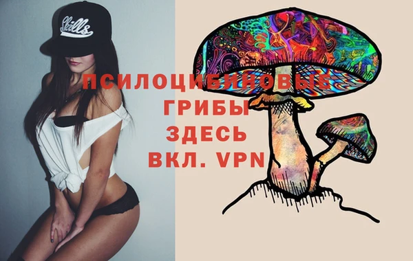 гидропоника Алексеевка