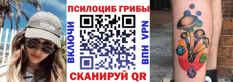 как найти наркотики  kraken сайт  Галлюциногенные грибы Psilocybe  Уфа 